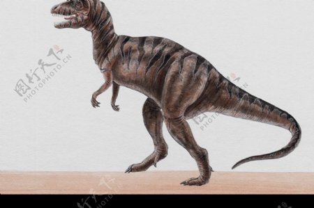 白垩纪恐龙0029
