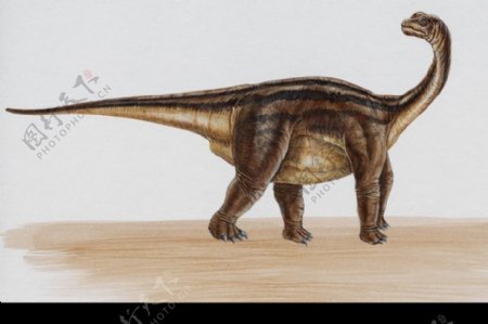 白垩纪恐龙0062