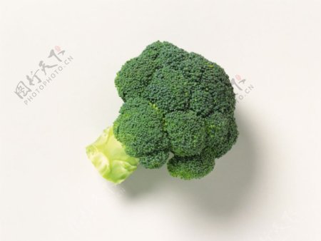 蔬菜类0081