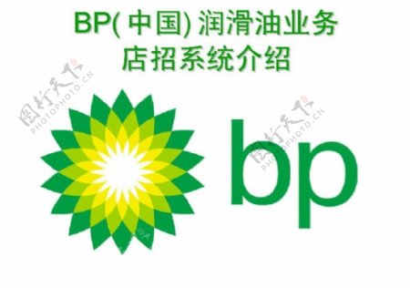 BP润滑油0020
