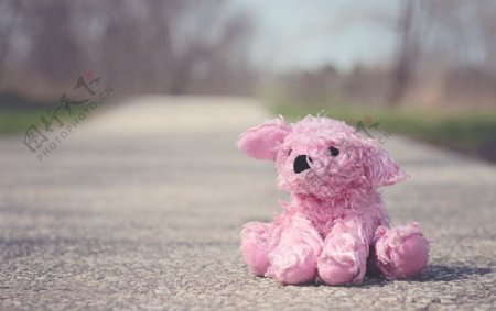 粉色小狗毛绒玩具