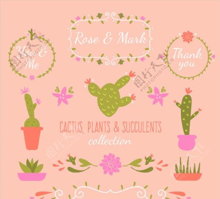 12款彩绘婚礼植物和花环矢量图