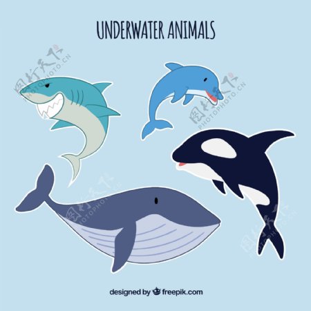 海洋卡通动物