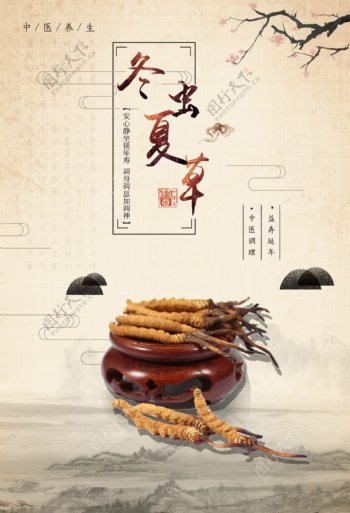 中国风冬虫夏草海报
