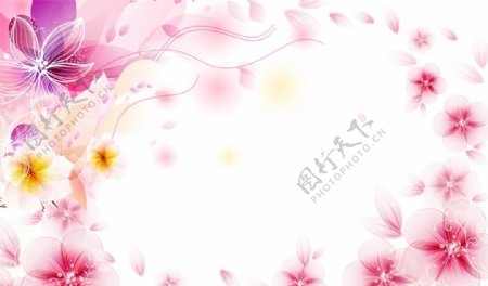 粉红色花卉素材