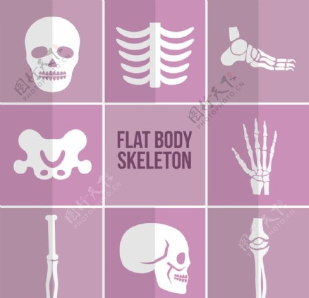 人体骨骼设计