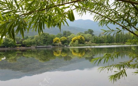 植物园风景