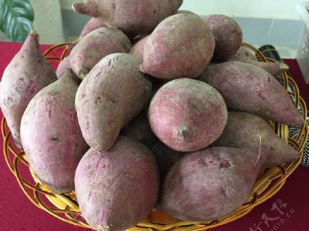 紫红薯