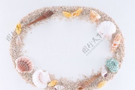 海螺贝壳圆环造型