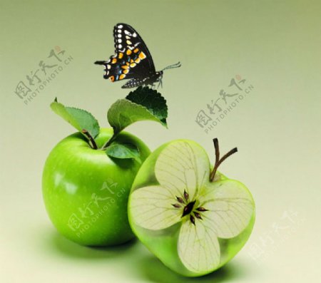 蝴蝶苹果