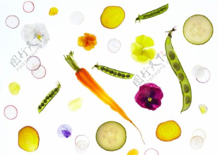 有机蔬菜水果背景透明