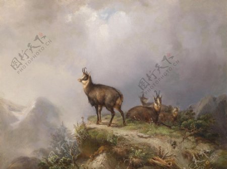 欧洲花鹿动物油画