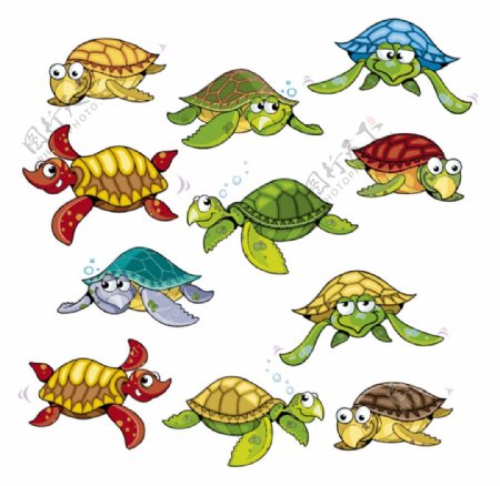 卡通海龟