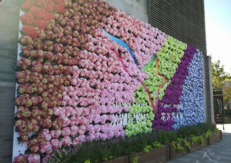 花卉艺术展花墙