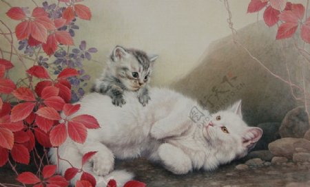 邢诚爱工笔画猫