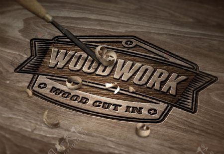 木头雕刻logo效果