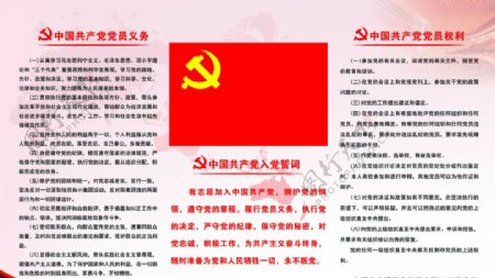 中国党员义务和权利