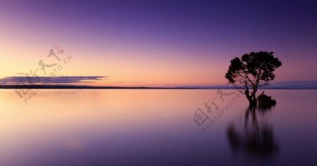 紫色黄昏湖泊图片紫色黄昏湖