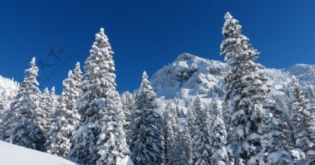 林海雪原