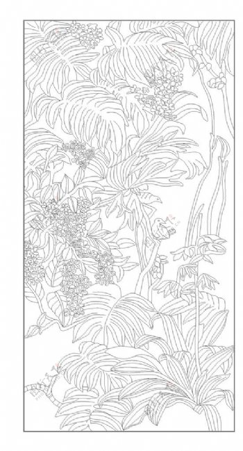 兰花蕉叶线描图