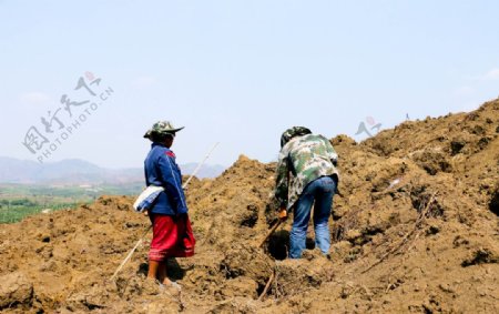 老挝农民
