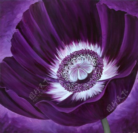 紫色花卉油画