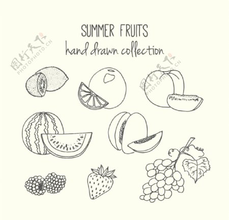 手工绘制的夏季水果