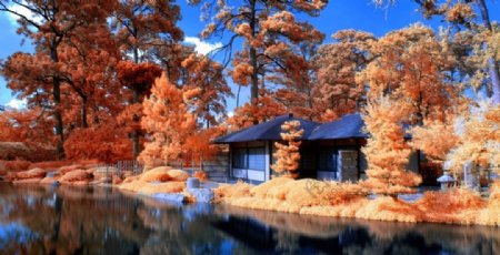 日本湖边庭院