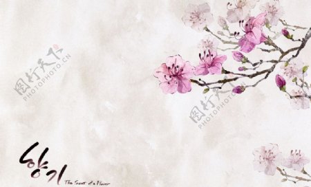 韩版手绘鲜花水彩画