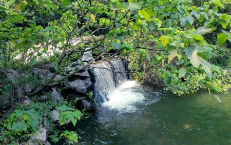 小溪流水