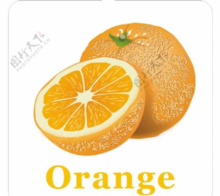 卡通水果橙子加英文名称