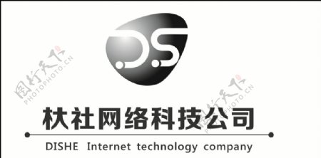 DS标示logo