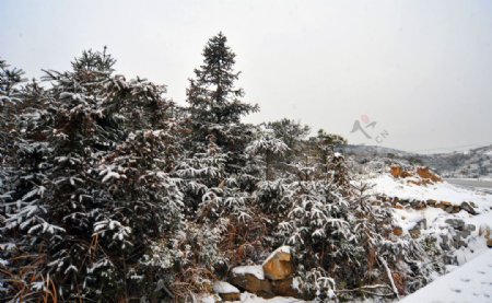 温州大罗山雪景