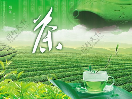 品茶广告茶叶banner