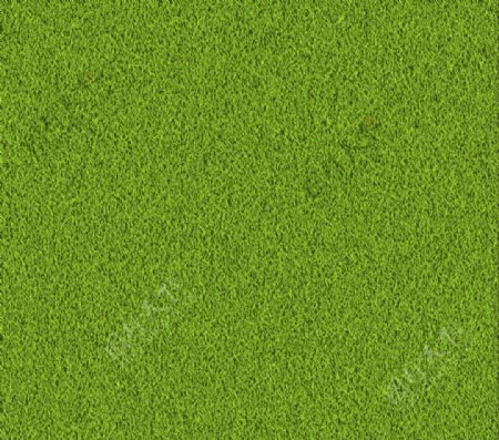 绿色草地底纹背景
