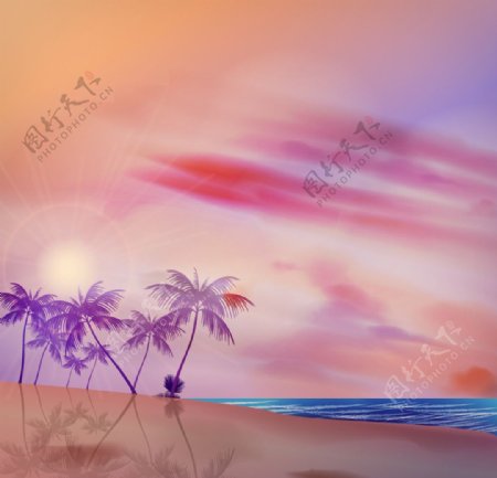 热带背景紫色的棕榈树