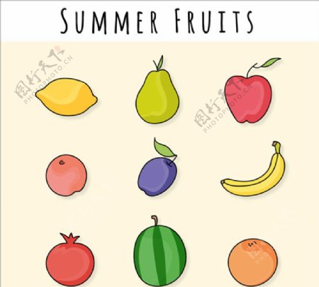 彩色的夏天的水果