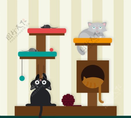 卡通猫咪和猫爬架