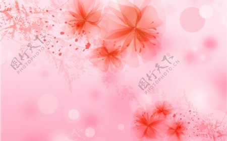 粉色透明梦幻花朵背景墙