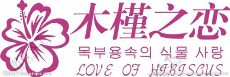木槿之恋logo