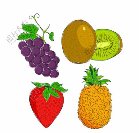 手绘四种美味的水果