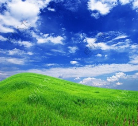 蓝天白云草从草地高清