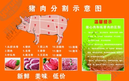 雨润食品猪肉分割图