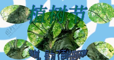 植树节