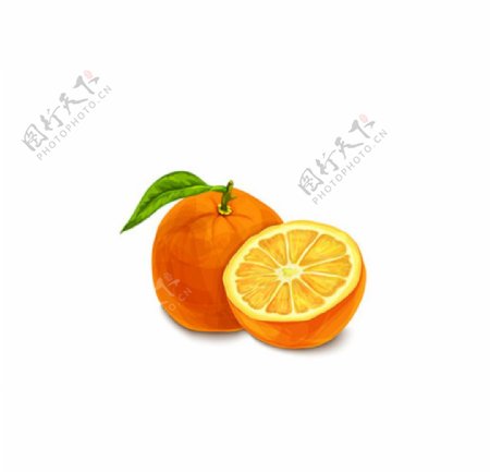 手绘水彩水彩脐橙子