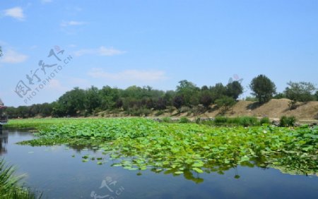 圆明园风景