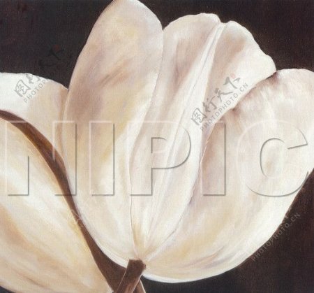 花卉油画10750厘米X50厘米