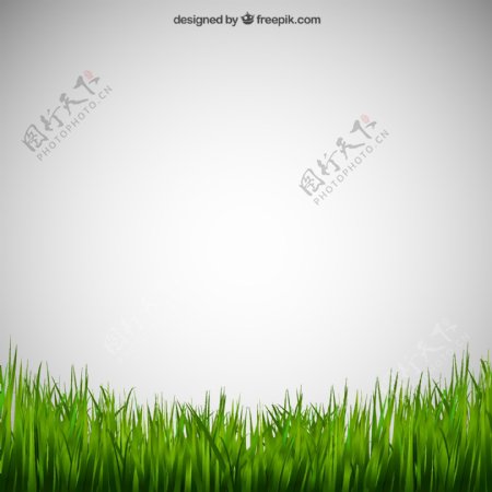 草地草坪绿色绿叶树