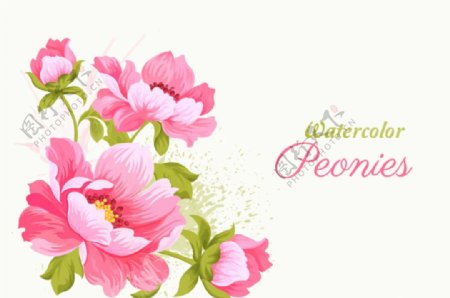 粉色水彩花卉矢量素材