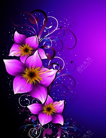 紫花朵纹矢量